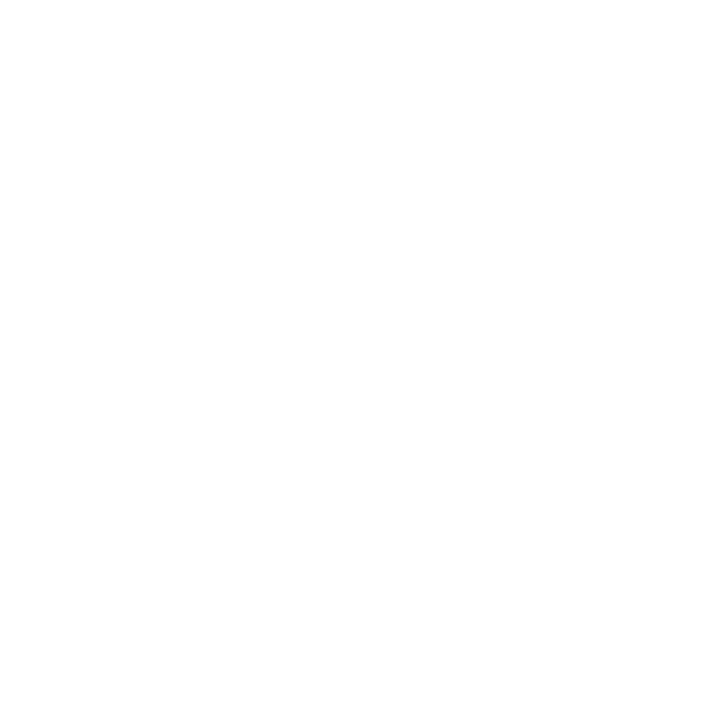 DM Coaching Logo White Transparent