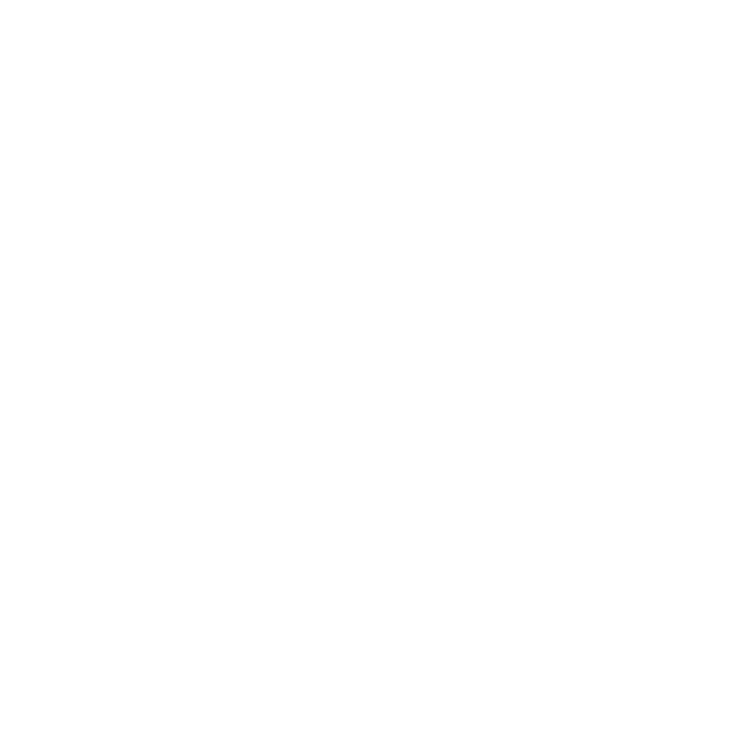 DM Coaching Logo White Transparent